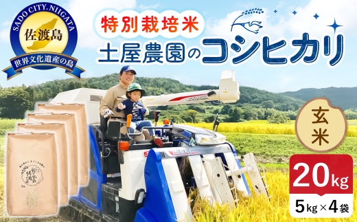 佐渡島産コシヒカリ 玄米 20kg 令和8年産 特別栽培米 土屋農園 | 新潟県産コシヒカリ 新潟産コシヒカリ 佐渡産コシヒカリ 新潟県産こしひかり 佐渡産こしひかり お米 米 こしひかり 玄米 げんまい おこめ コメ 20キロ にいがた さど 新潟県 佐渡市