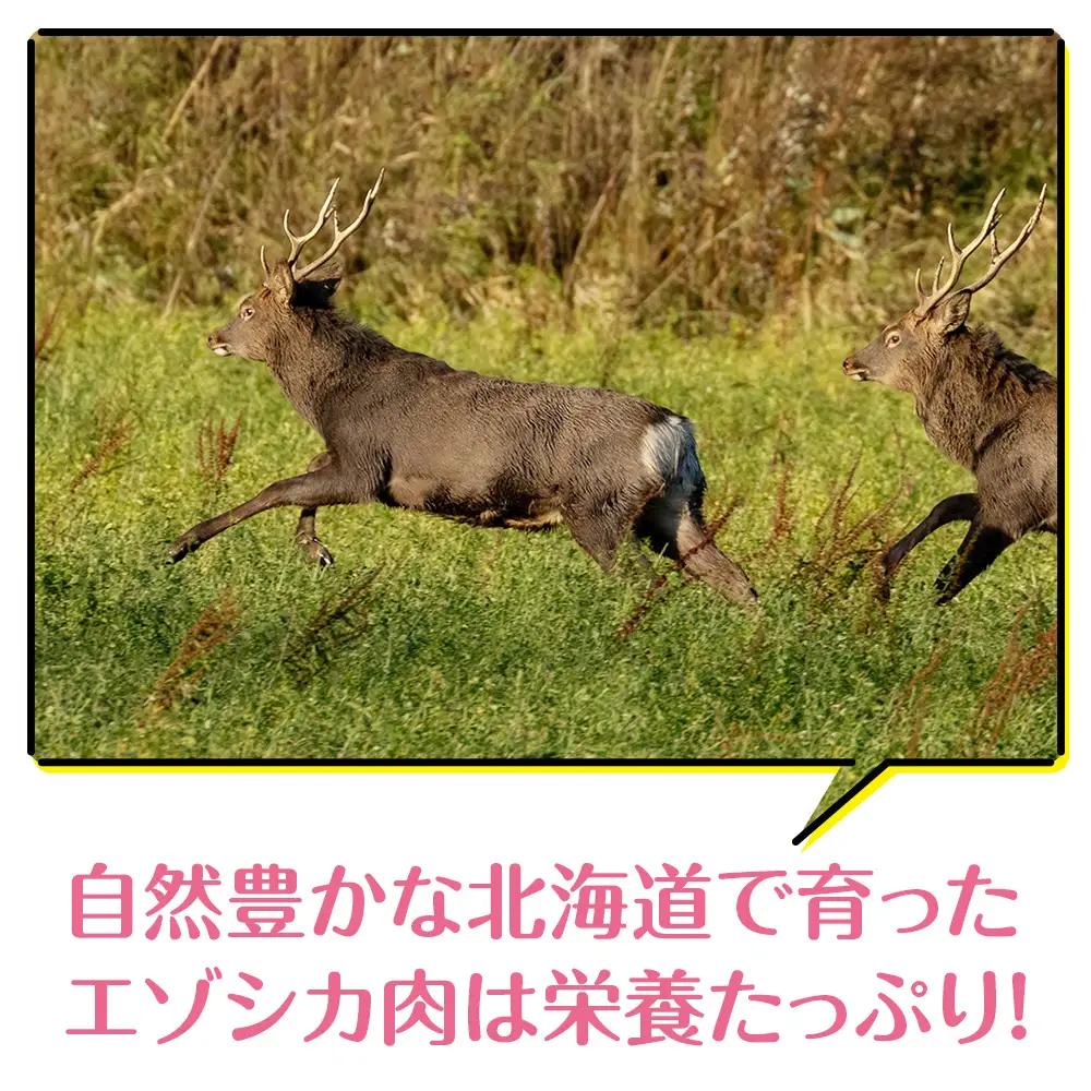 犬 おやつ 無添加 国産 骨 エゾ鹿 ボーン 肩甲骨 (約300g)