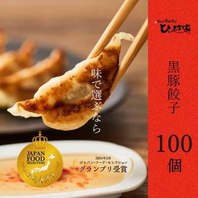 定番のかごしま黒豚餃子100個(タレ付)【配送不可地域：離島】