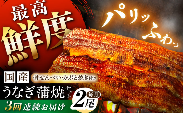 
            【3回定期便】【備長炭】 国産 うなぎの蒲焼 2尾セット 鰻 ウナギ タレ付き 白川町 / 多幸八 [AWBL010]
          