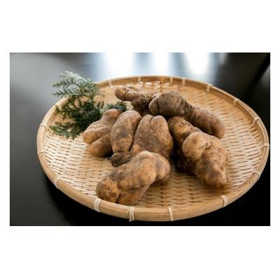 ふるさと納税 山口市 徳地やまのいものすりおろしトロロ　100g×10個 C136 |  | 01