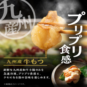 大昌園「特選もつ鍋セット・トリプルだし醤油4～5人前/特製辛味調味料付き」_大昌園 特選もつ鍋セット・塩牛スープ/トリプルだし醤油 特製辛味調味料付き 〔Cn122〕