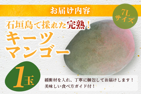 《2025年7月下旬～8月下旬発送》【先行予約】最高糖度23度！？ 完熟！7Lサイズ 幻のキーツマンゴー【 沖縄 石垣島 石垣 八重山 マンゴーキーツマンゴー 期間限定 数量限定 沖縄県 石垣島産 完