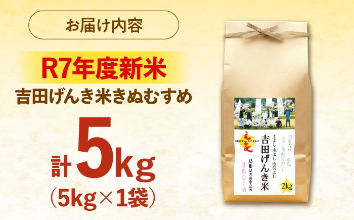 白米 おこめ げんき米 新米 単品 きぬむすめ ごはん お弁当 国産 おいしい 