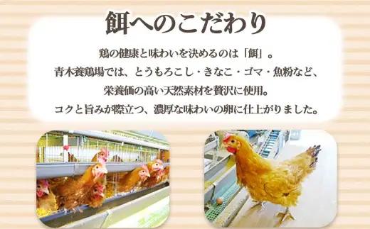 日本を代表する地鶏　名古屋コーチン卵　40個入 ｜ブランド卵 新鮮 阿久比町