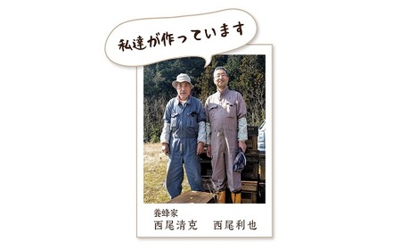 岐阜県産 やさしいはちみつ250g×3本【1501897】