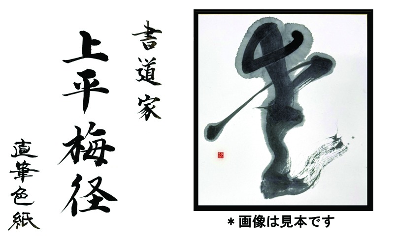 099H4649 書道家による直筆書 上平梅径 直筆書(白1字)