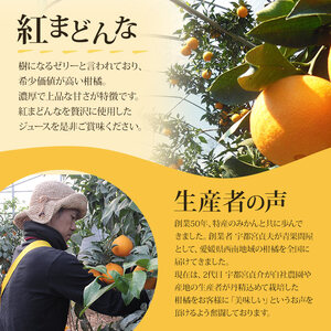 マルワフルーツ園芸　紅まどんなジュース2本セット
