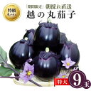 【ふるさと納税】期間限定 『越の丸茄子』 特級Aクラス 特大サイズ 1箱9玉入 高級ブランド茄子 ブランド野菜 特産品 産地直送 なす まるなす ナス 茄子 人気の丸茄子 糸魚川限定 新潟 糸魚川 ギフト 贈り物 贈答品 お中元 夏の逸品