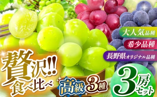 
                  【2026年先行予約】 シャインマスカット・ナガノパープル・クイーンルージュ® 3房セット 【9月中旬～10月下旬にかけて順次発送予定】 | 果物 くだもの フルーツ 葡萄 ぶどう ブドウ ナガノ パープル クイーンルージュ® シャイン マスカット 長野県 塩尻市
                
