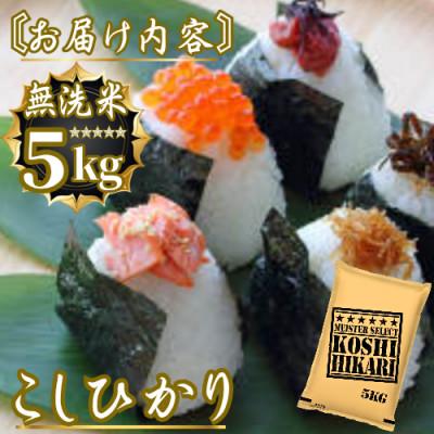 ふるさと納税 佐賀県 令和7年産こしひかり 無洗米 5kg　41ANAD041(佐賀県) |  | 03