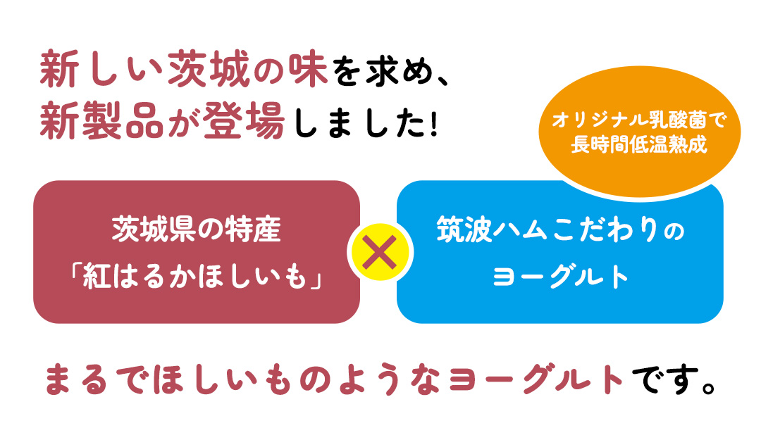 筑波ハム 『 まるでほしいも 』合計3個 ほしいもクン特製 化粧箱入り （100g×3個入り ×1箱） ( 茨城県共通返礼品 ) ヨーグルト 干し芋 干しいも ほし芋 紅はるか デザート お土産 手土