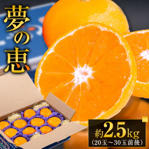 【ふるさと納税】 みかん 贈答用 秀品 夢の恵 約 2.5kg (20玉〜30玉前後) 光センサー 熊本県産 （長洲町産含む） 糖度12度以上 ブランドみかん ブランド 旬 贈答用 贈り物《11月中旬-2月中旬頃出荷》 熊本県 長洲町