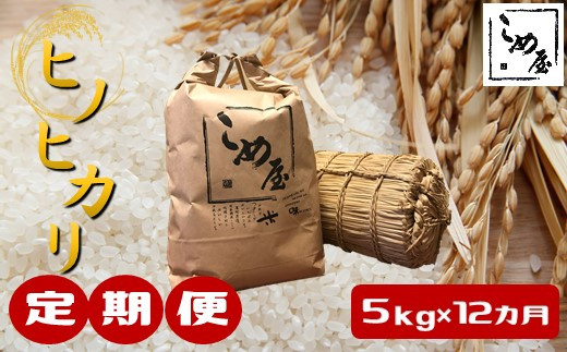 
【定期便12回】熊本県産「ヒノヒカリ」5kg×12カ月
