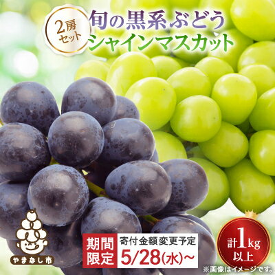 【ふるさと納税】【寄付金額変更 12,000円→11,000円】山梨産シャインマスカットと黒系葡萄2色セット【配送不可地域：離島】【1564591】