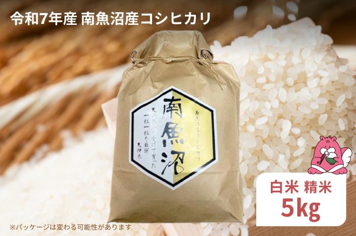 
            令和7年産 5kg〈白米〉越後湯沢産 南魚沼産 コシヒカリ 豪雪を源とする水の恵み【湯沢産 コシヒカリ】
          
