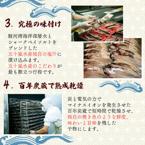訳あり アジ 干物 約5kg  国産 真アジ 鯵 沼津 アジ