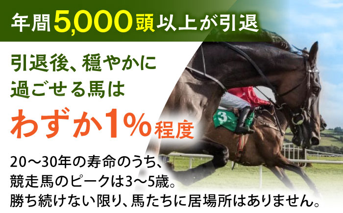 【幸せな第二の馬生を】引退競走馬支援 500,000円 【CLUB RIO】 支援 動物支援 動物保護 流鏑馬 返礼品なし [HBY009]