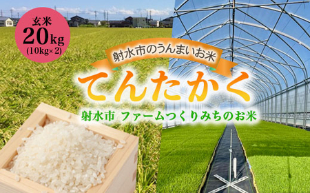 【射水市】【射水の美味しいお米】ファームつくりみちのお米 作道米 R8年度産てんたかく20kg（10kg×2）【玄米】｜米 こめ コメ てんたかく 天高く 玄米 ブランド米 銘柄米 人気 ランキング 富山 富山米 北陸 北陸米 富山てんたかく 北陸てんたかく 玄米てんたかく 20キロ 20キロ米 20kg 20kg米 ※離島への配送不可 ※2026年8月中旬～9月上旬頃に順次発送予定