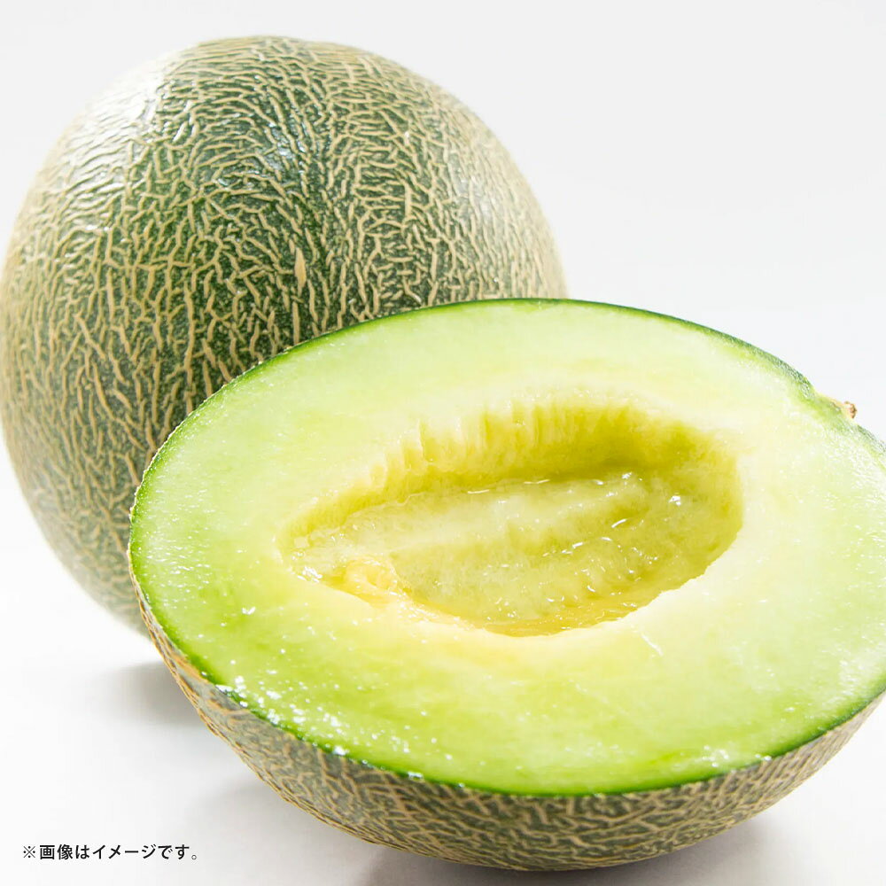【ふるさと納税】肥後グリーンメロン 選べる容量 ( 1玉 4L以上 約2kg / 2玉 4L以上 計約4kg / 4〜6玉 L以上 計約7kg ) めろん フルーツ 果物 くだもの 果肉 旬 お取り寄せ 熊本県 熊本市 【2027年5月上旬～7月下旬発送予定】