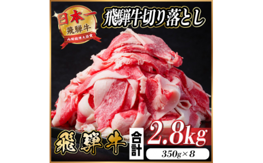 飛騨牛 切り落とし 約2.8kg(約350g×8パック)＜冷蔵便＞【1544103】