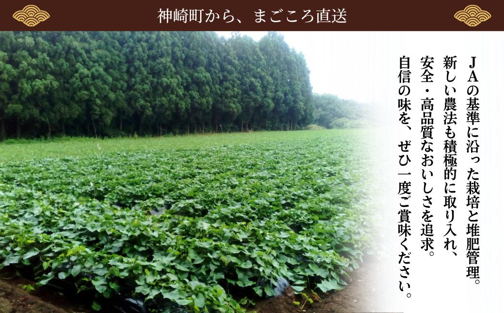 ＼焼き芋も天ぷらもおまかせ！／神崎町産べにあずま 洗い さつまいも 5kg｜ホクホク甘い万能タイプ（9月・10月・1月～5月に順次発送）[016-a004]【千葉県神崎町ふるさと納税】