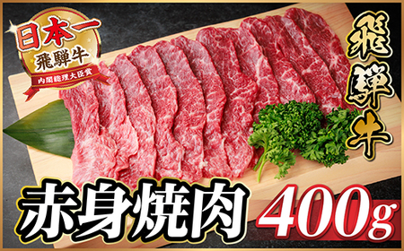 飛騨牛 赤身(焼肉・BBQ用) 約400g【冷蔵便】A4～A5等級 黒毛和牛【配送不可地域：離島】【1646132】
