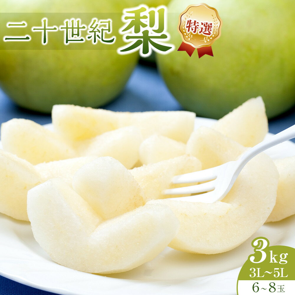 【ふるさと納税】281.【先行予約】二十世紀梨 特選 3kg 3L～5L 6～8玉前後 ※2026年8月下旬～9月下旬頃に順次発送予定 | 先行予約 梨 なし 果物 フルーツ くだもの 鳥取県 北栄町 おすすめ 人気 送料無料