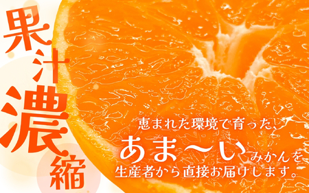 【手選別】有田 みかん 5kg（S～Lサイズ）※11月下旬～翌年1月中旬頃【hdm005】