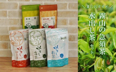水出し緑茶 ティーバッグ 5種セット｜土佐霧山茶 煎茶 ほうじ茶 番茶 急須茶入り 国産 お茶