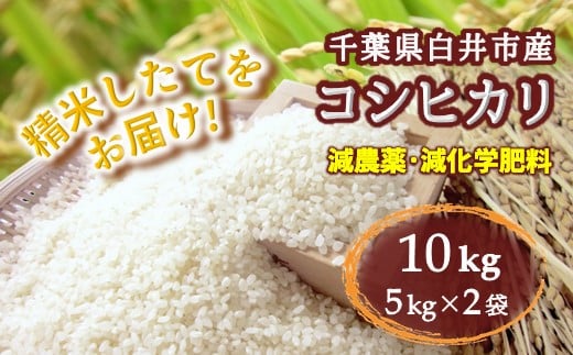 
            コシヒカリ 10kg 千葉県産 減農薬 減化学肥料 精米したて
          