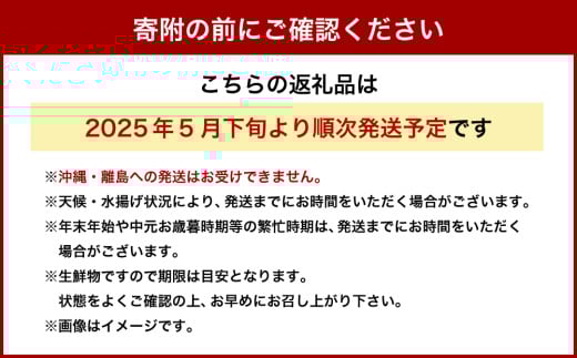 北海道小樽市 塩水キタムラサキウニ 100g×3パック 合計300g 【漁師直送】