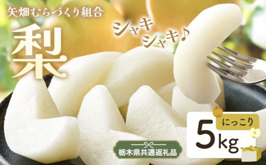 N05 梨 なし にっこり梨 5kg フルーツ 先行予約 矢畑むらづくり組合《9月下旬-10月中旬頃出荷》 栃木県【栃木県共通返礼品　栃木県産】【配送不可地域あり】(離島)