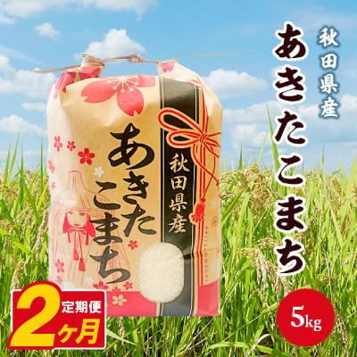 ふるさと納税 八郎潟町 【毎月定期便】あきたこまち 5kg【白米】 秋田県産全2回