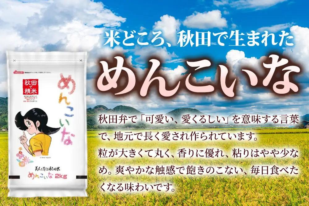 米《定期便2ヶ月》めんこいな【白米】 米どころ秋田県産 令和7年産 精米4kg（2kg×2袋）