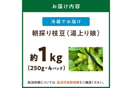 【先行予約／数量限定40】朝採り枝豆（湯上り娘）1kg（250g×4パック）（栽培期間中農薬・化学肥料・除草剤不使用）（2026年7月上旬～発送）
