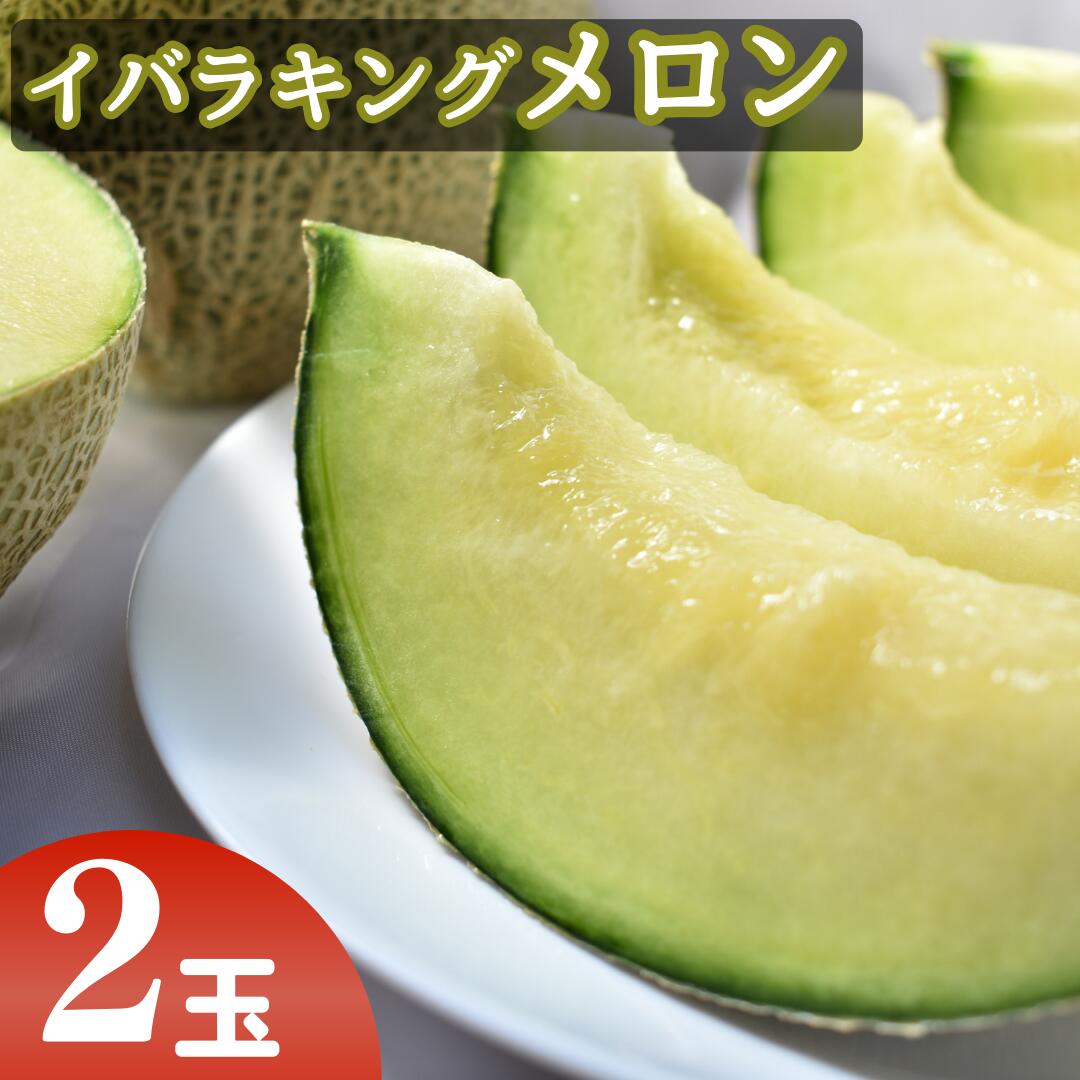 【ふるさと納税】JAほこた　なだろう　イバラキング　（2玉）