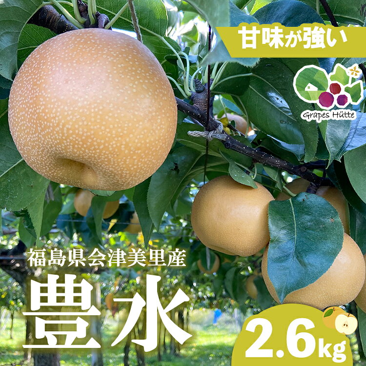 【ふるさと納税】【先行受付】会津の美味しい梨 豊水 約2.6kg（5玉～6玉） 贈答用 | 期間限定 梨 なし ナシ 果物 フルーツ 甘い ジューシー 果実 くだもの 国産 果実 会津美里町産 ※2026年9月～発送