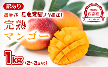 2025年発送　訳あり　ご家庭用完熟マンゴー1㎏(2～3玉)　長友農園＜1.2-59＞