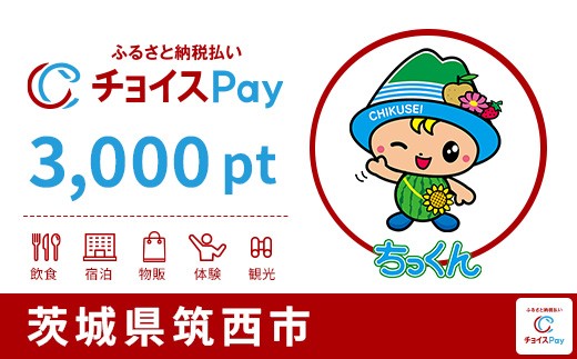 
                  筑西市チョイスPay 3,000pt【会員限定のお礼の品】
                