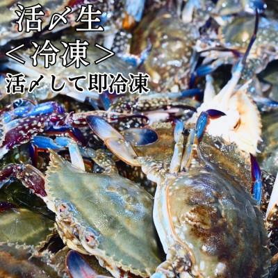 ふるさと納税 南知多町 活〆生ワタリガニ(大サイズ)今が旬のオス!1kg3〜5杯 冷凍便＼特製三杯酢付き/ |  | 01