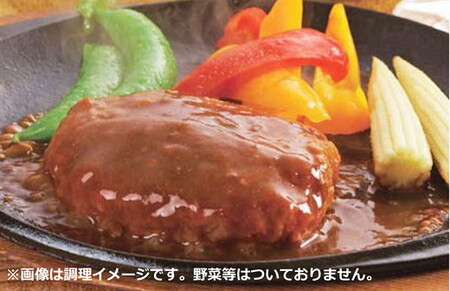 【総本家肉のあさの】近江牛ハンバーグ【600ｇ（120ｇ×5個）】【AE14SM】