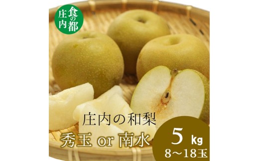 食の都庄内　庄内の和梨【秀玉or南水】約5kg※9月中旬ごろより順次配送