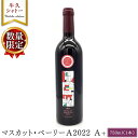 【ふるさと納税】 【 数量限定 】 マスカット・ベーリーA2022 A+ 750ml ワイン ミディアムボディ お酒 牛久シャトー 酸味 ワイナリー 赤ワイン ぶどう 葡萄 贈り物