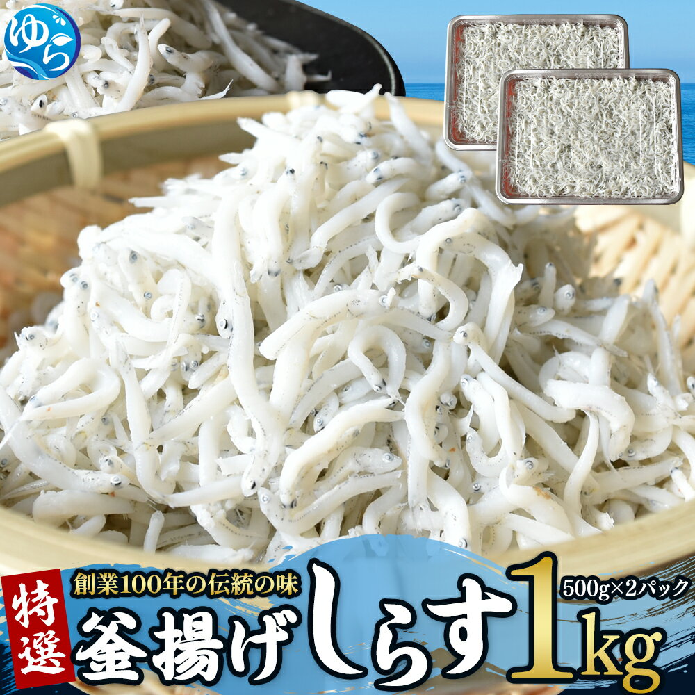 【ふるさと納税】＼レビューキャンペーン中／プレミア和歌山認定 特選 釜揚げしらす（500gパック入り×2つ） | しらす 釜揚げ　かまあげ　 人気 海鮮 ちりめんじゃこ 和歌山県 由良町 ふるさと納税 返礼品