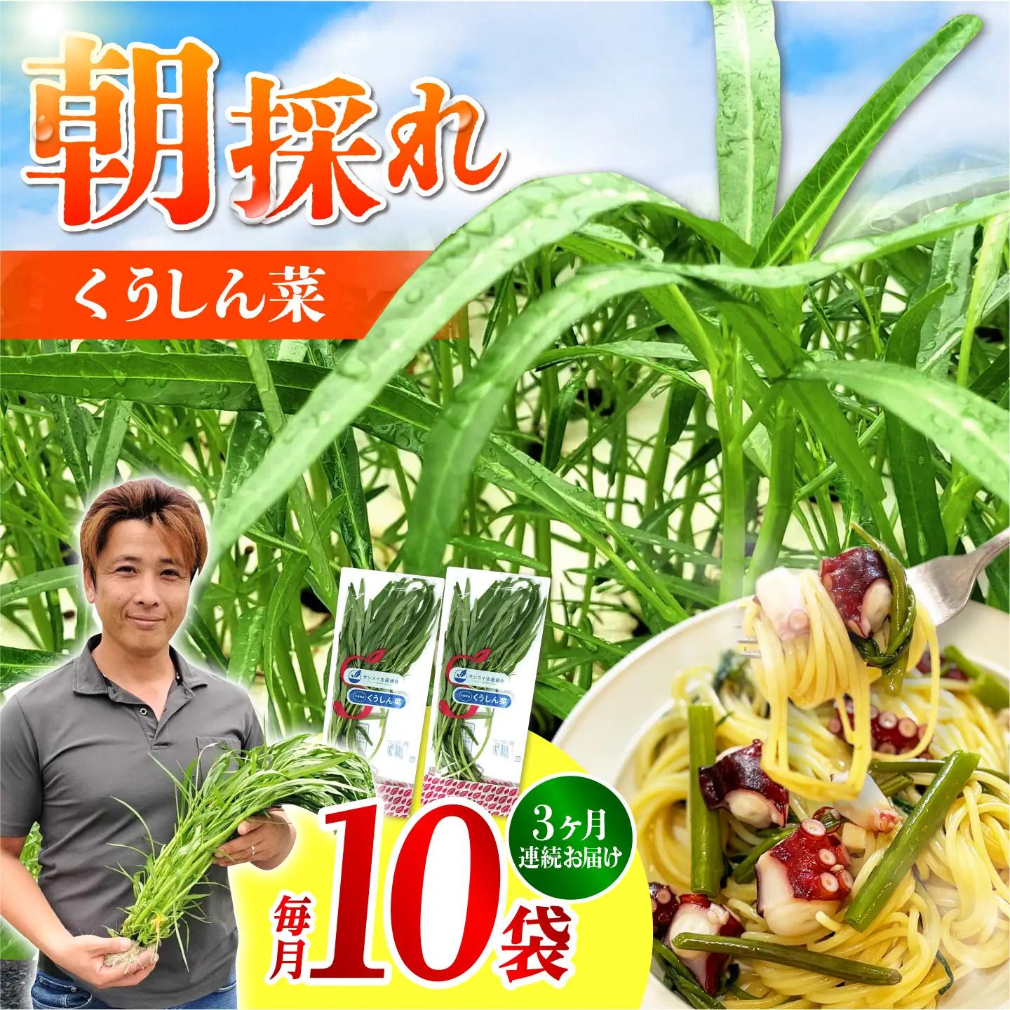 【3回定期便】新鮮朝採れ くうしん菜 計30袋 / 葉物野菜 / 亀山市 / グリーンハウス吉田[AMCD003]