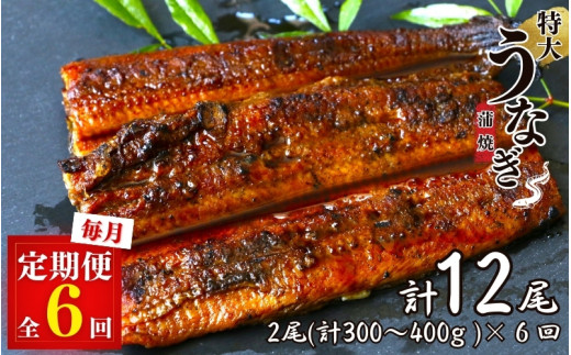 【6カ月定期便】特大うなぎ蒲焼き2本セット×6回 / 和歌山 田辺 うなぎ 鰻 かば焼き うな丼 うな重 国産 鰻丼【kpy025-tk】