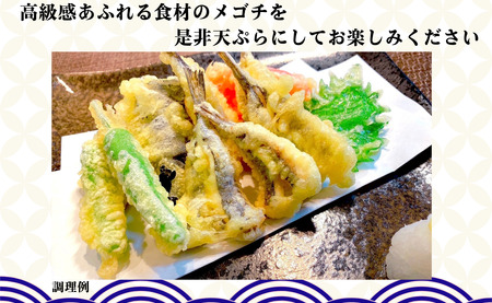 銚子港水揚げ ！ メゴチ の 開き 500g プロ仕様 銚子 冷凍 新鮮 メゴチ 開き 白身 白身魚 天ぷら がっちょの唐揚げ に 国内加工 松葉おろし バラ凍結 業務用 酒の肴 お取り寄せ 千葉県 