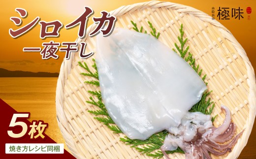 山陰浜田極味 シロイカ（ケンサキイカ）一夜干し5枚入り イカ 烏賊 白いか 剣先イカ 干物 一夜干し【164_1826】