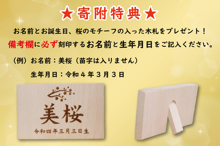 清宝作雛人形ケース飾り　芥子親王　アクリルケース　灰桜色（232A-7）【埼玉県 春日部市 初節句 桃の節句 女の子 お祝い 出産祝い 孫 ギフト 省スペース 室内装飾 記念品】(BL012-1) 